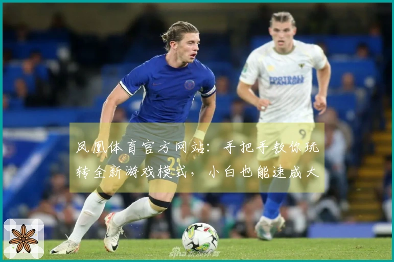 凤凰体育官方网站：手把手教你玩转全新游戏模式，小白也能速成大神！
