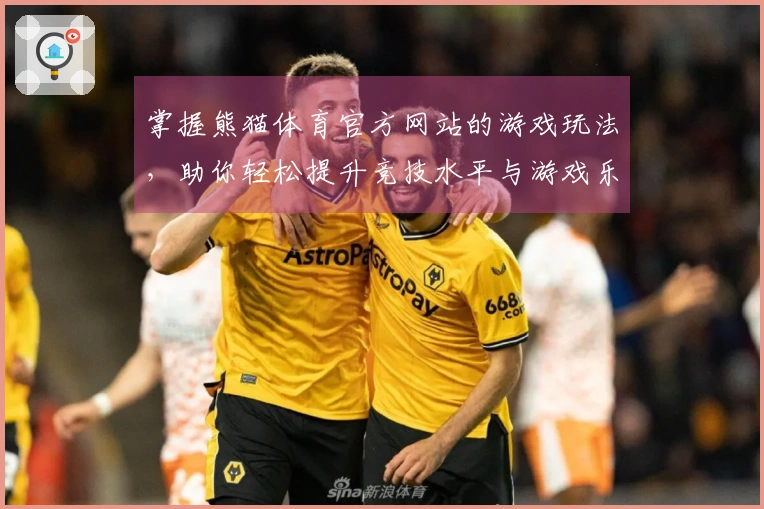 掌握熊猫体育官方网站的游戏玩法，助你轻松提升竞技水平与游戏乐趣