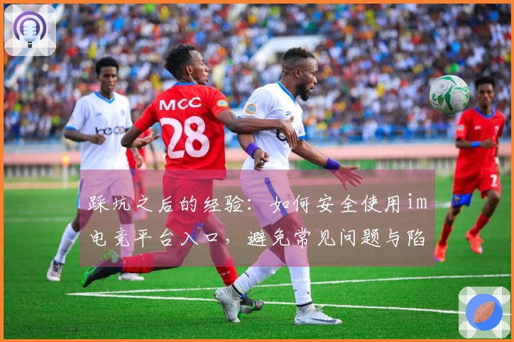 踩坑之后的经验：如何安全使用im电竞平台入口，避免常见问题与陷阱