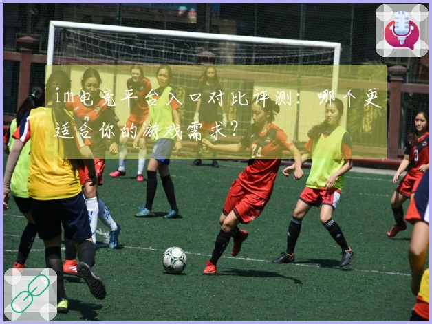 im电竞平台入口对比评测：哪个更适合你的游戏需求？