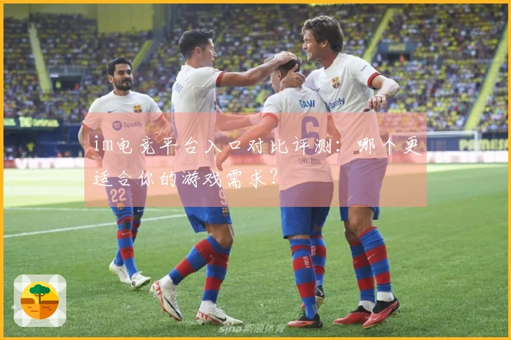 im电竞平台入口对比评测：哪个更适合你的游戏需求？